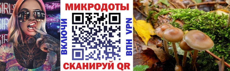 как найти наркотики  Новомичуринск  нарко площадка какой сайт  Псилоцибиновые грибы ЛСД 